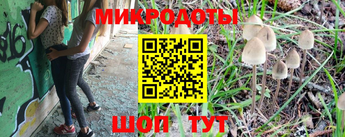 Галлюциногенные грибы Psilocybe Костомукша