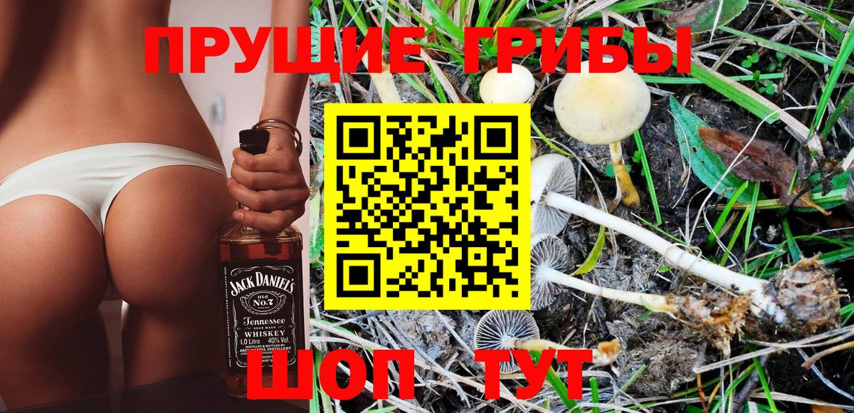 Костомукша  Псилоцибиновые грибы Psilocybine cubensis  Вход с VPN 